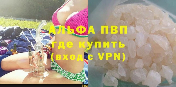 стафф Алексин