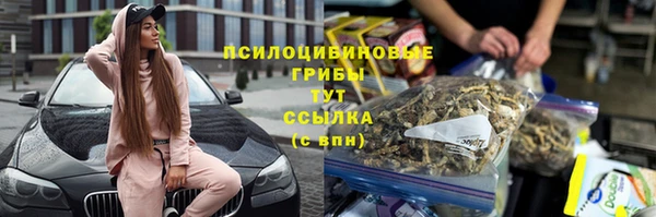 дурь Алзамай