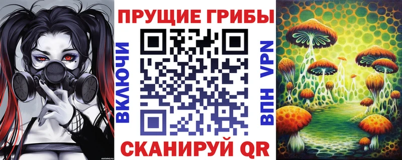 хочу наркоту  Межгорье  Псилоцибиновые грибы Psilocybe 